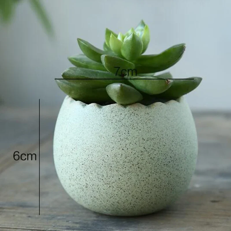 Simple Style office Decoration Dragon Egg Shape Fleshy Flowerpot Ceramic Plant Green Flower Pot Vase Desktop Ornaments Garden