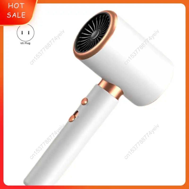 헤어드라이어 일정한 온도 및 빠른 건조 헤어드라이어(디퓨저 포함) 미국 플러그 A62X