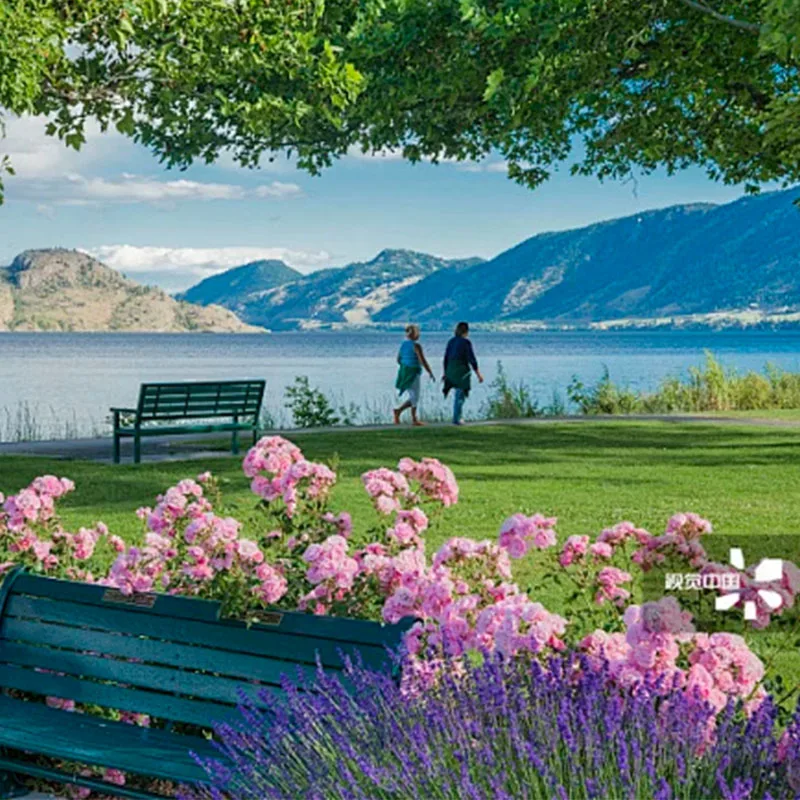 speedybee-bee25-25インチフレーム-120mmホイールベース-o3-air-unit-link-vista-vtx対応-rc-fpvドローン-クアッドコプター