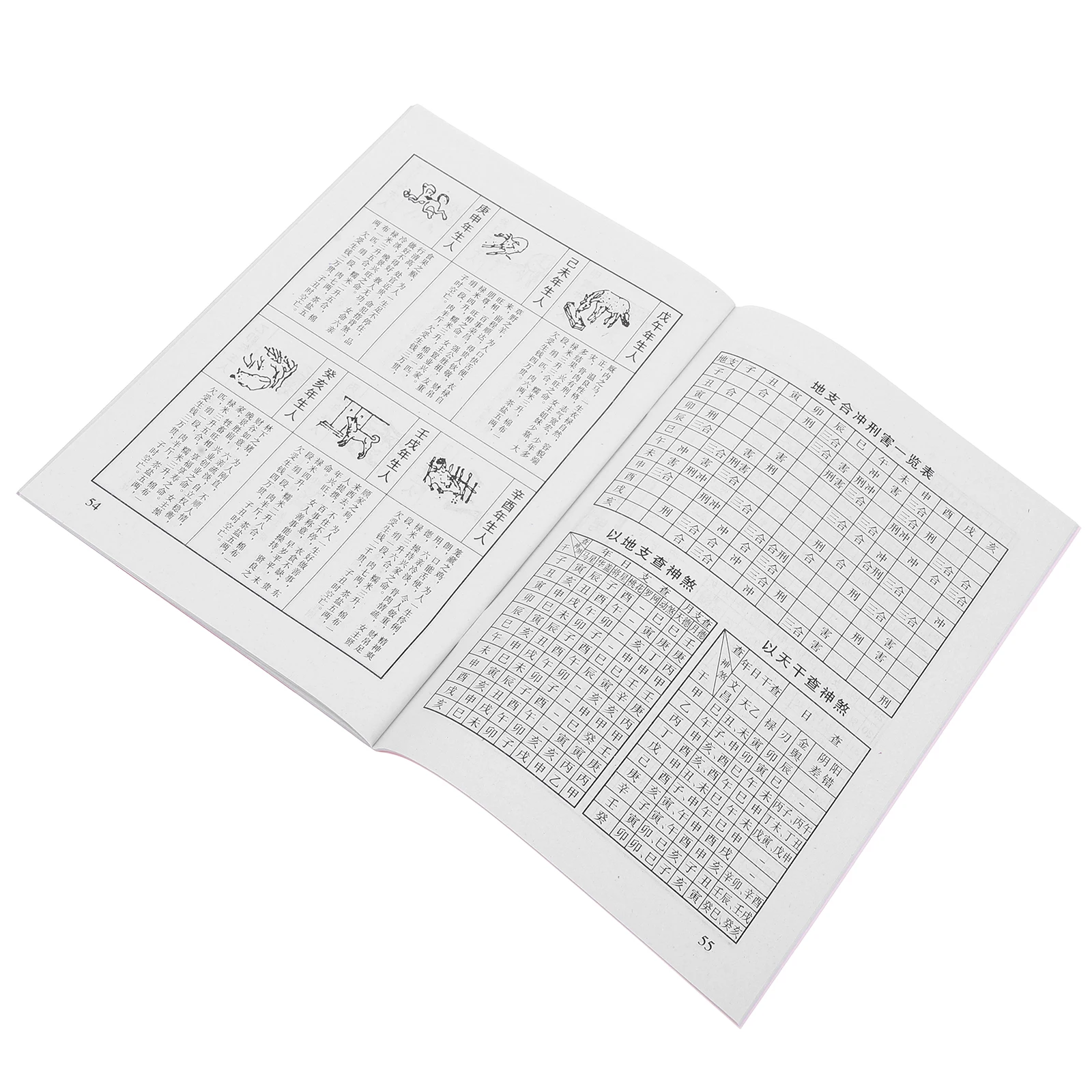 

Calendar Tradition Zodiac Traditional Cute Daily Wall Lunar for Home Chinese Calendars Style Number