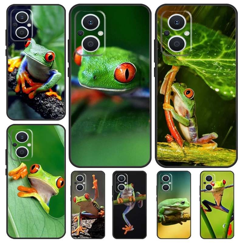 Green Frog Wildlife… - image