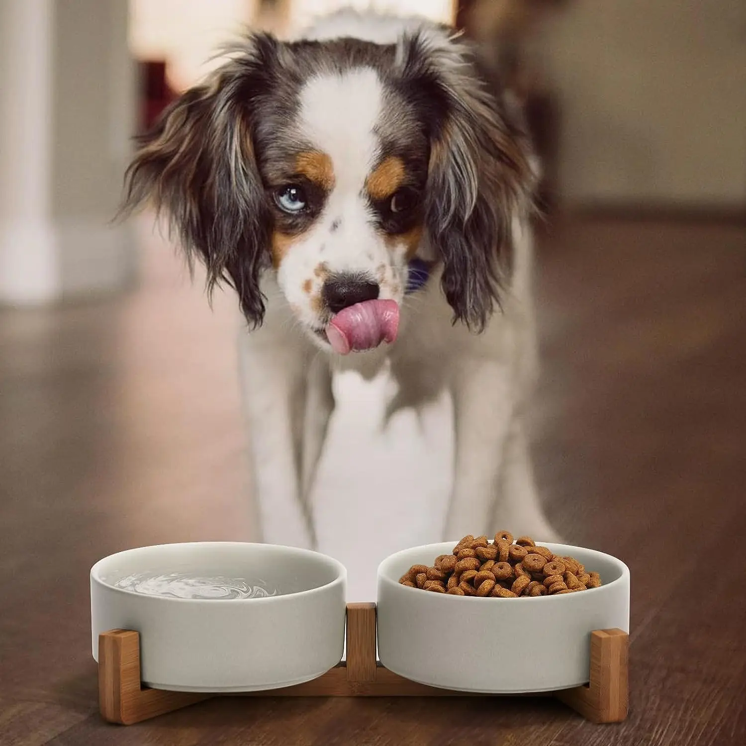 Ceramic Pet Bowl Dish With Wood Stand No Spill Pet Ceramic Double Bowl For Dog Cat Food Water Feeder Cats Small Dogs Pet bowl