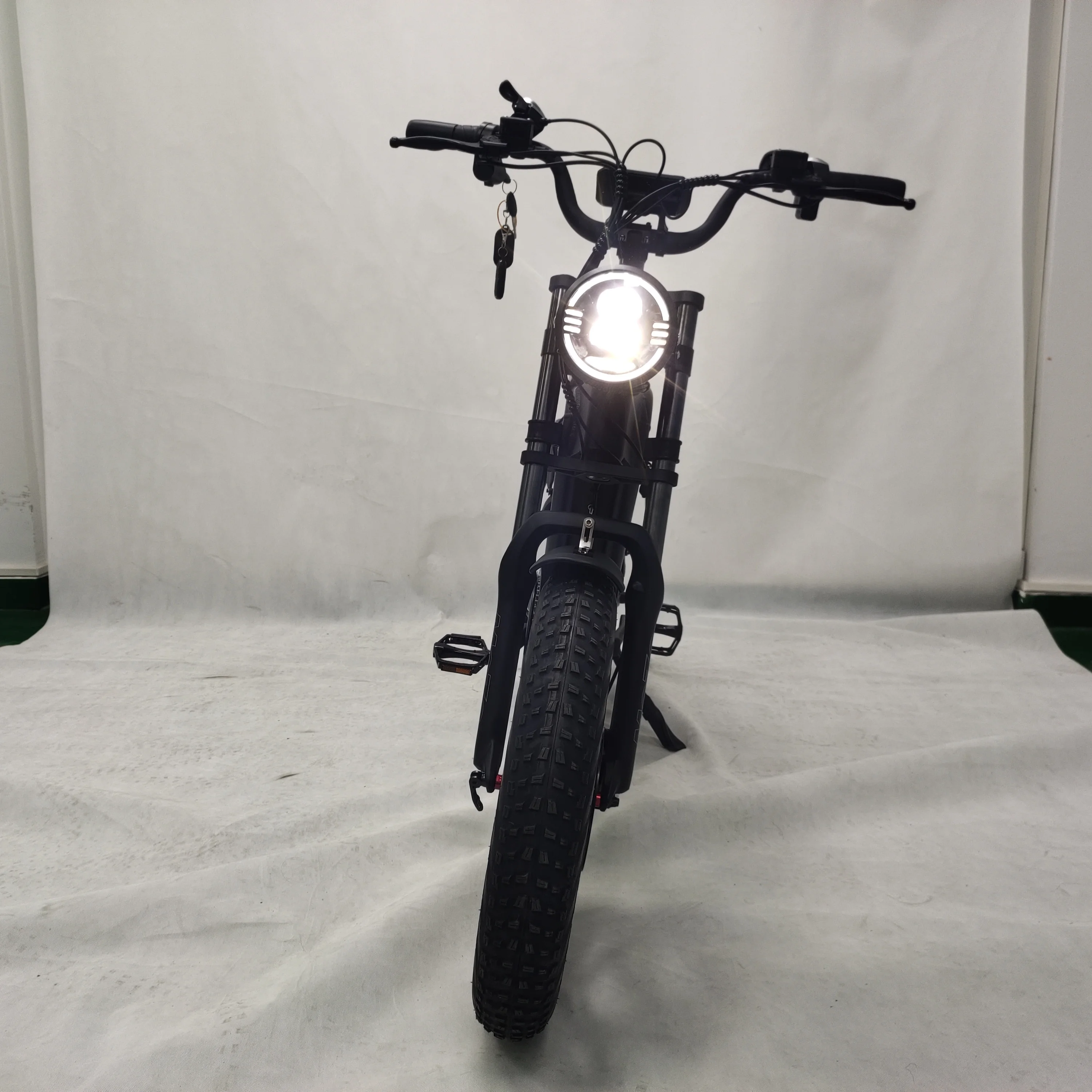 20inch 48v 22ah*2 Lithium Batteries 1000w Brushless Motor E Fat Tire Bike Ecycle Cargo Ebike Delivery Electric Bicycle