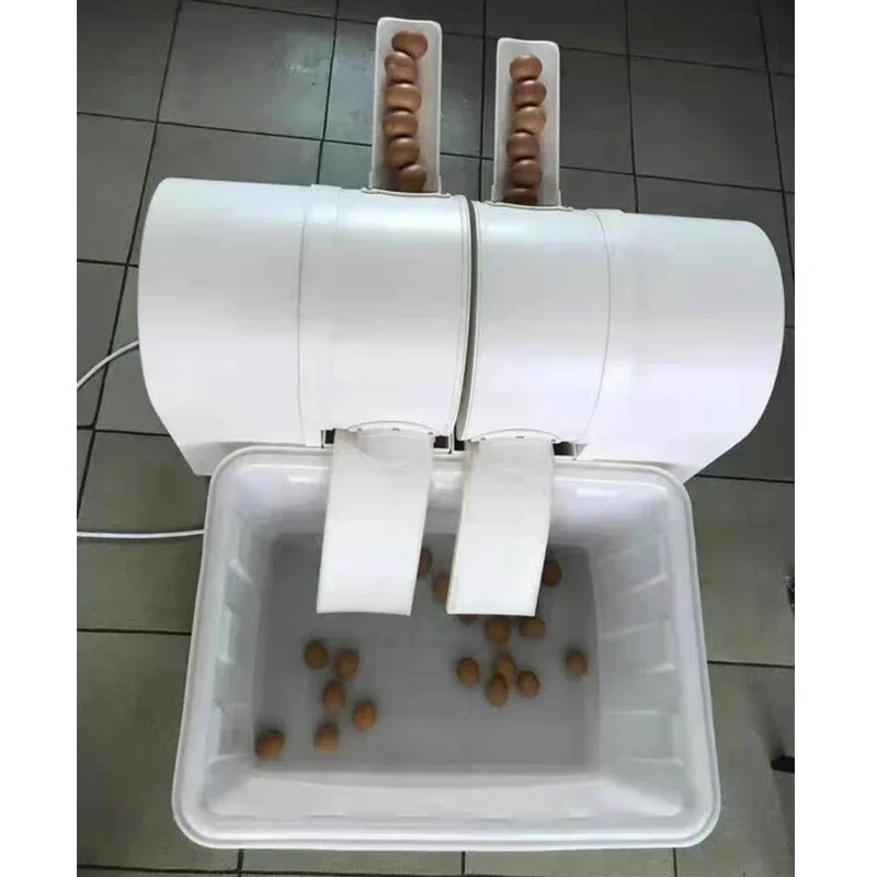 New Type Egg Cleaning Machine Chicken Egg Washer for Sale Small Egg Washing Machine