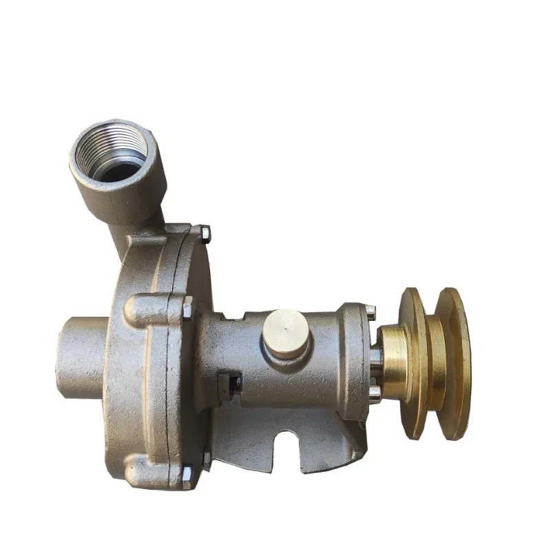 

stainless steel water pump miniature marine fresh water pump pumping engine seawater centrifugal