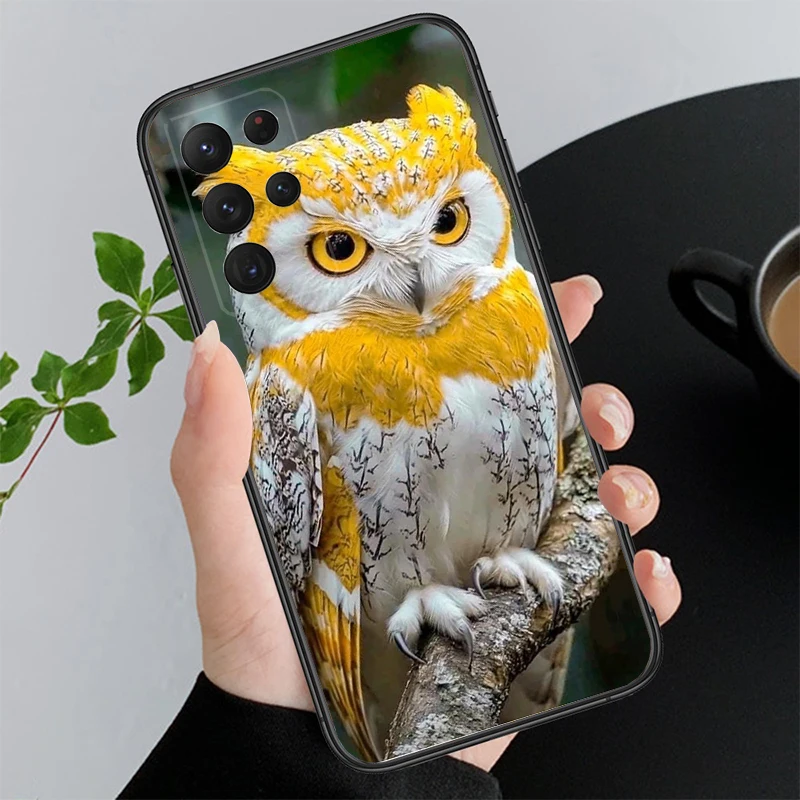 

Phone Case For Samsung A55 A16 A56 A36 A35 A15 A53 A54 A33 A34 A25 A05S A52 A52S A14 A26 A71 Cute Owl Cartoon