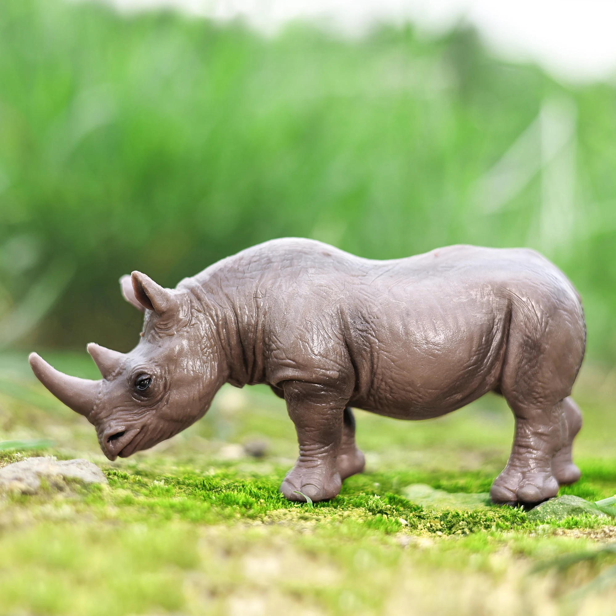 Realistic Wild Animals Toy Action Figure Collection - 3D Model Playset for Kids |Zoo Figurines Children's day gift