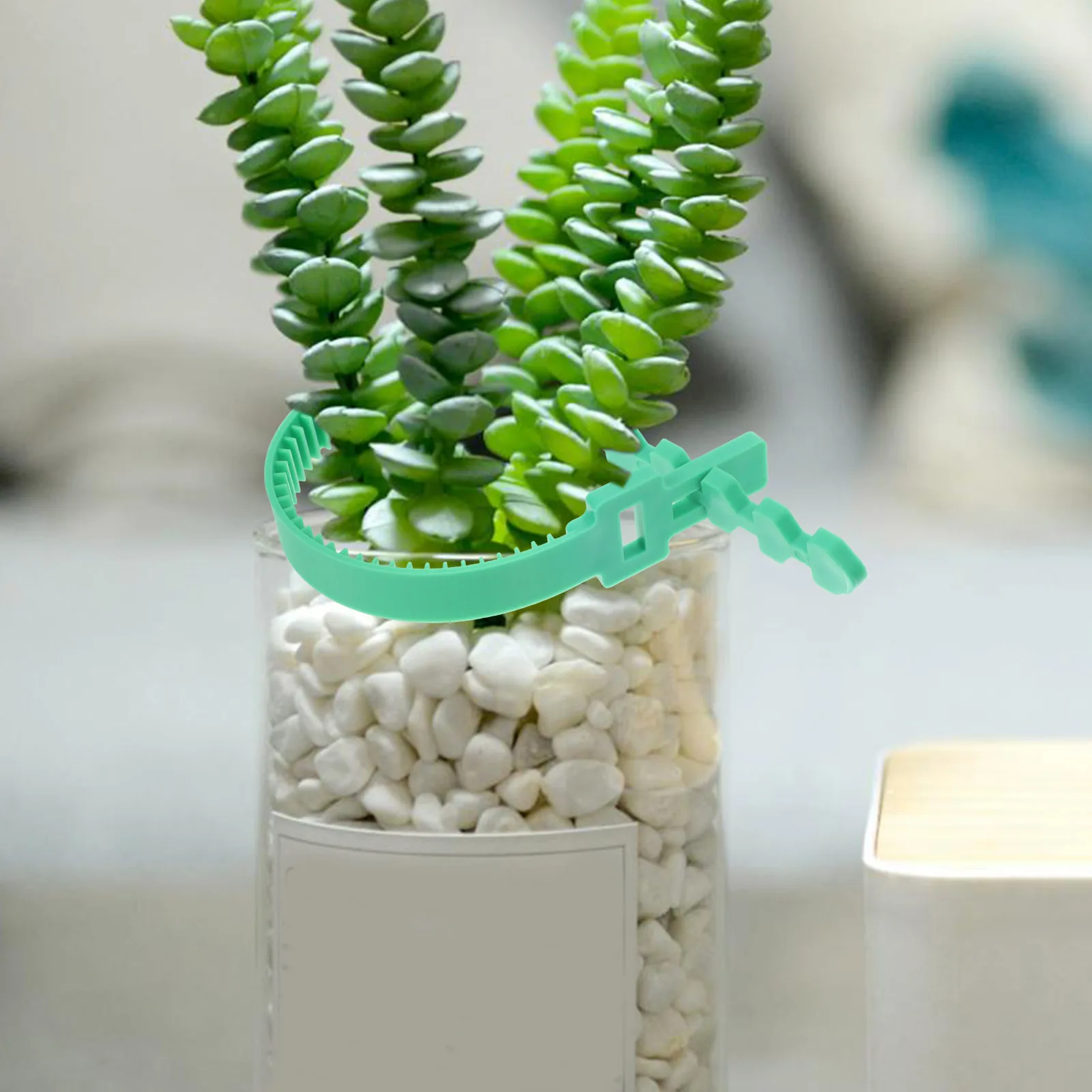 

8pcs Plant Ties Heavy Duty Tree Support Straps Adjustable Garden Staking Straps Reusable Outdoor Plants Windy Weather