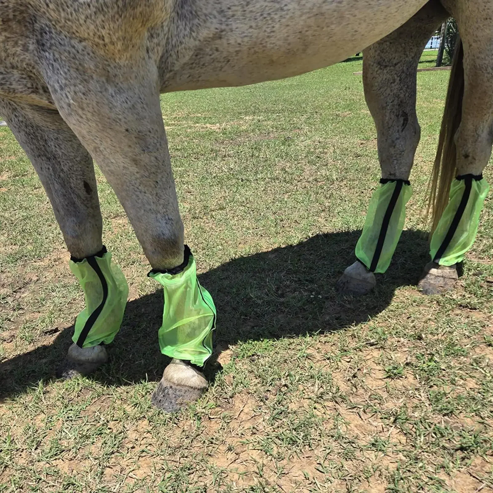 2026-4pcs-elastic-mesh-horse-fly-socks-breathable-equine-leg-protector-leggings-for-turnout-stable-competition-riding-sports