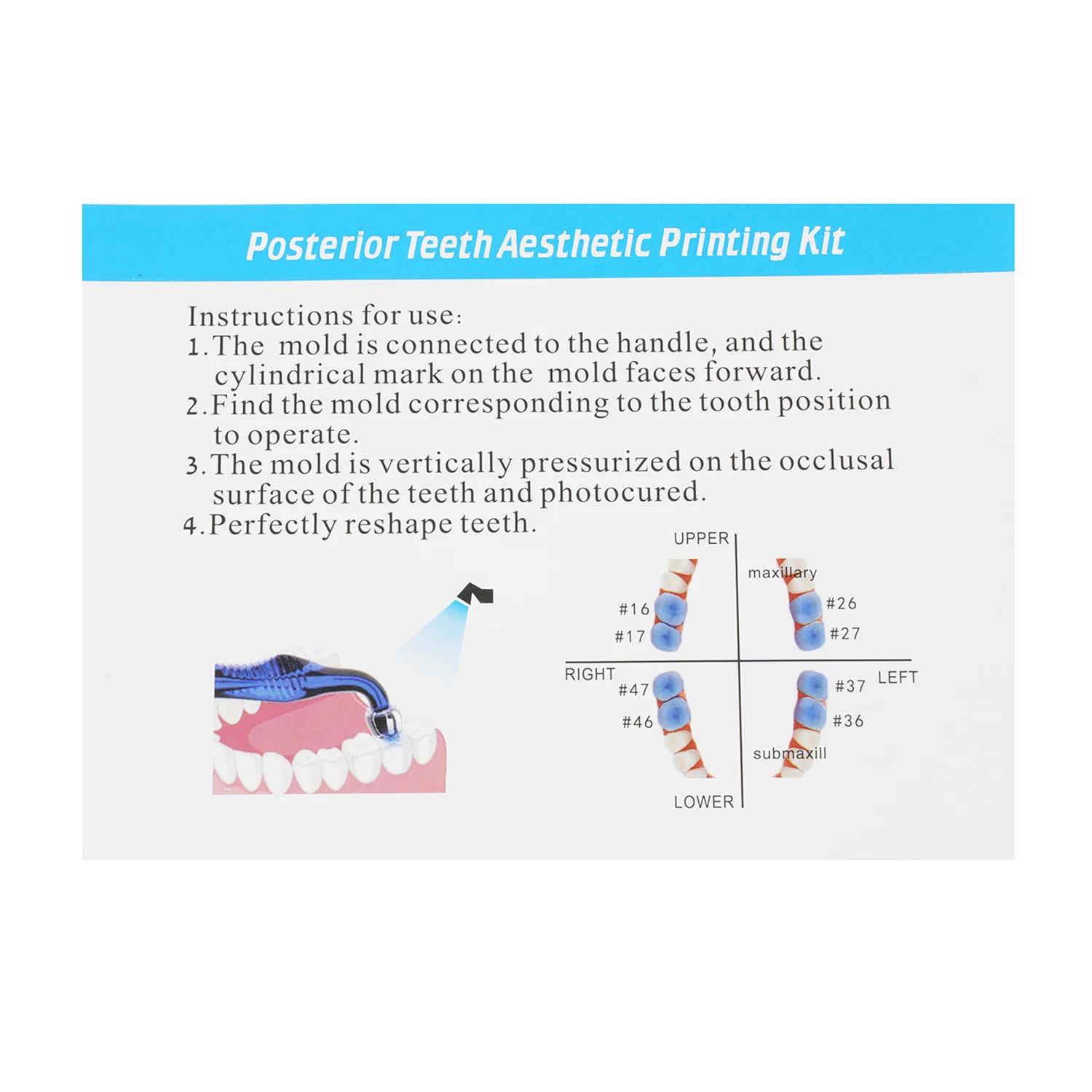 JOLANT Dental Orthodontic Posterior Teeth Aesthetic Printing Mould Kit Printing Restoration Teeth Quick Built