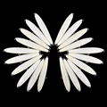 8CM-20PCS