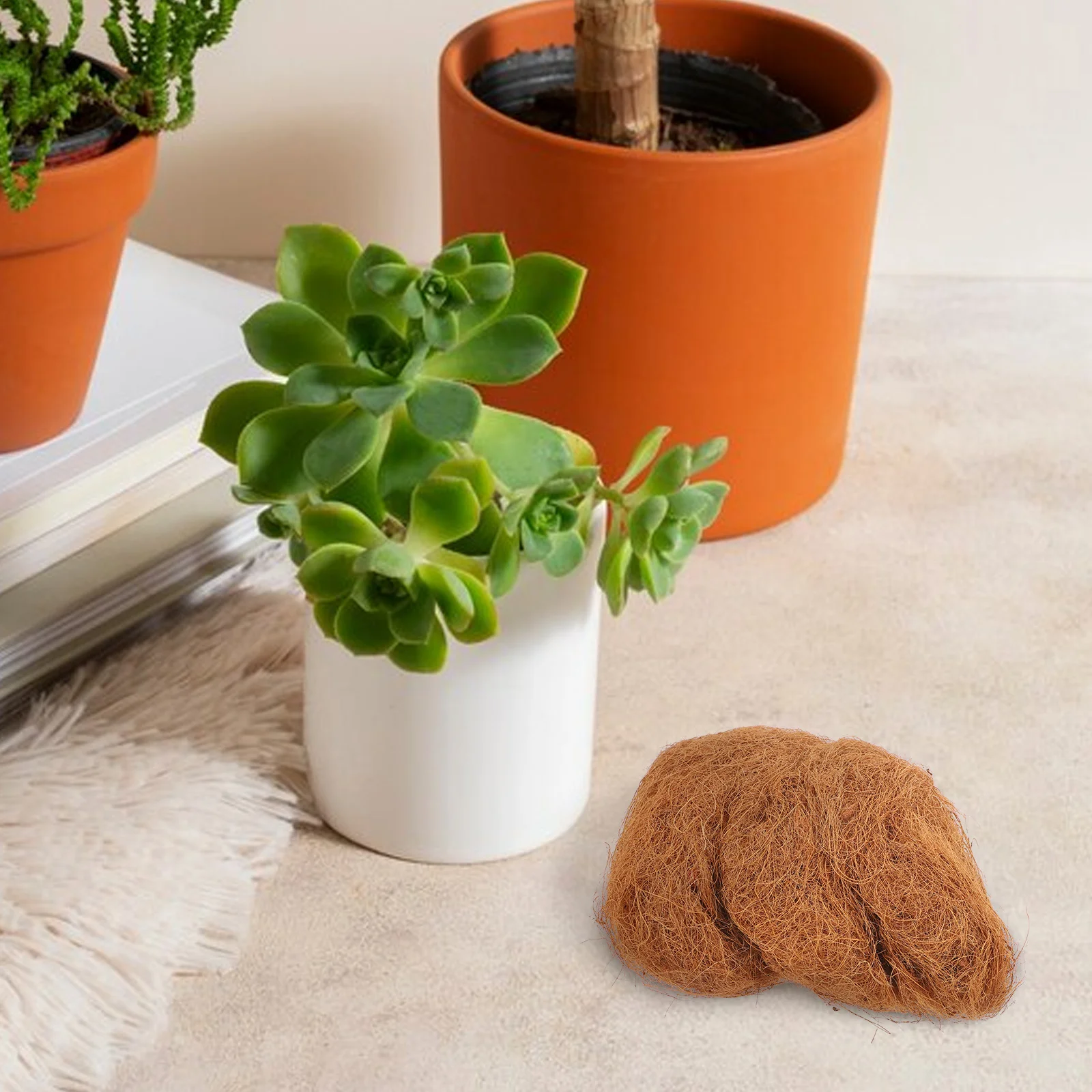 

1pc Coconut Fibre Coir Mat Flowerpot Garden Barrier Soil Moisture Retention Cover For Potted Plants Outdoor Use