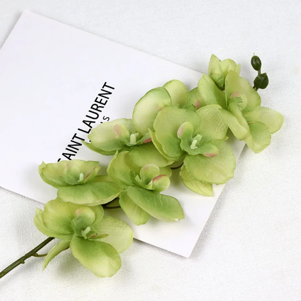 8 Köpfe große künstliche Seide Zweig Orchidee Phalaenopsis schwarz Burgund Hochzeit Home Decor Blumen Topf Orchidee Großhandel – Detail 10