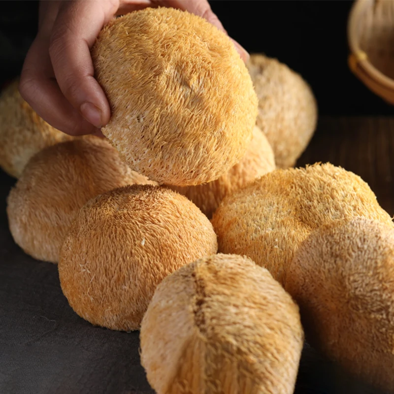 Natural Changbai Mountain Monkey Head Mushroom Special Grade Wild Hericium Dried Mushroom Resin Raw Material Photography Props