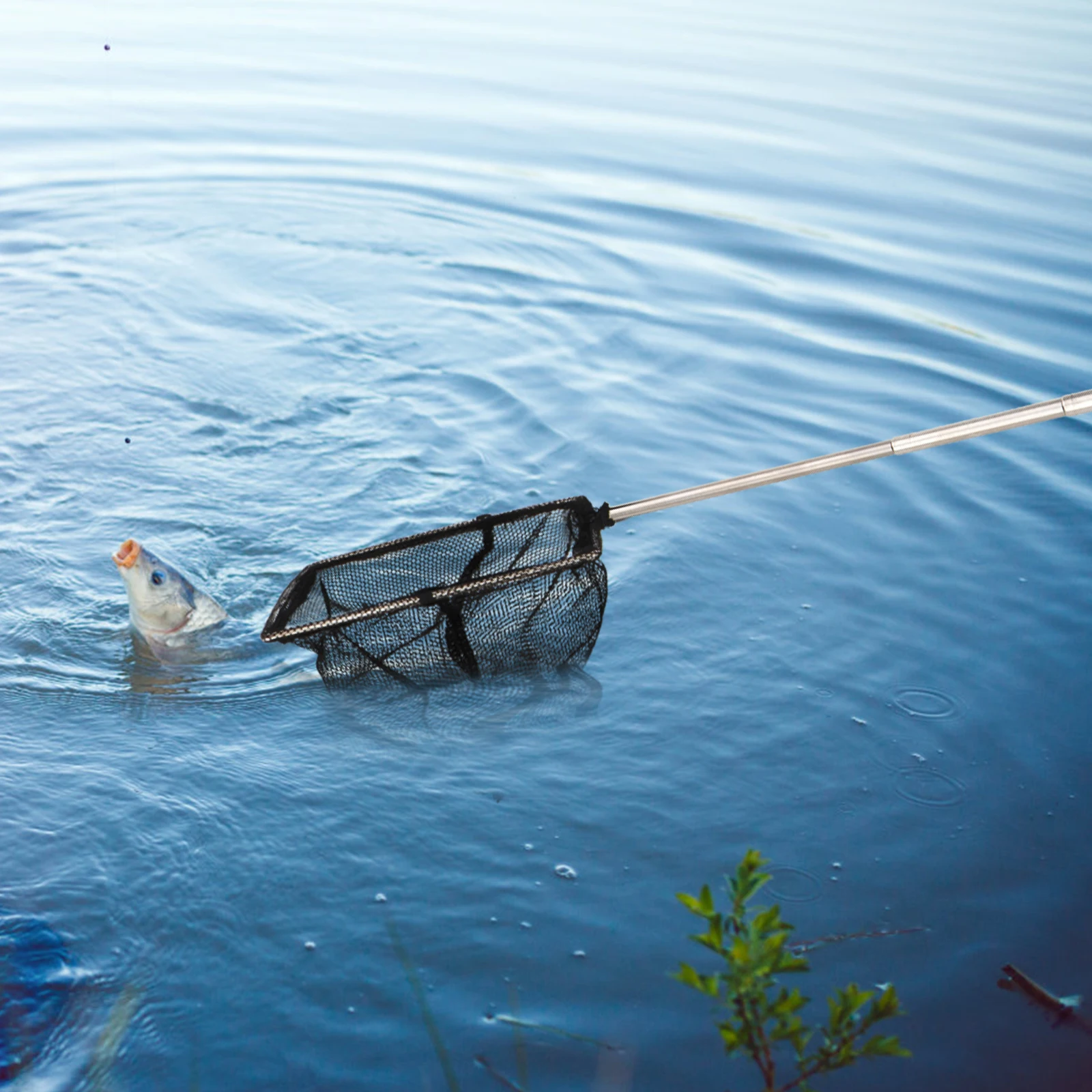

Stainless Steel Fishing Net Compact Quick Folding Portable Long Pole Telescopic L Nets Suitable for Lakes Rivers Boats