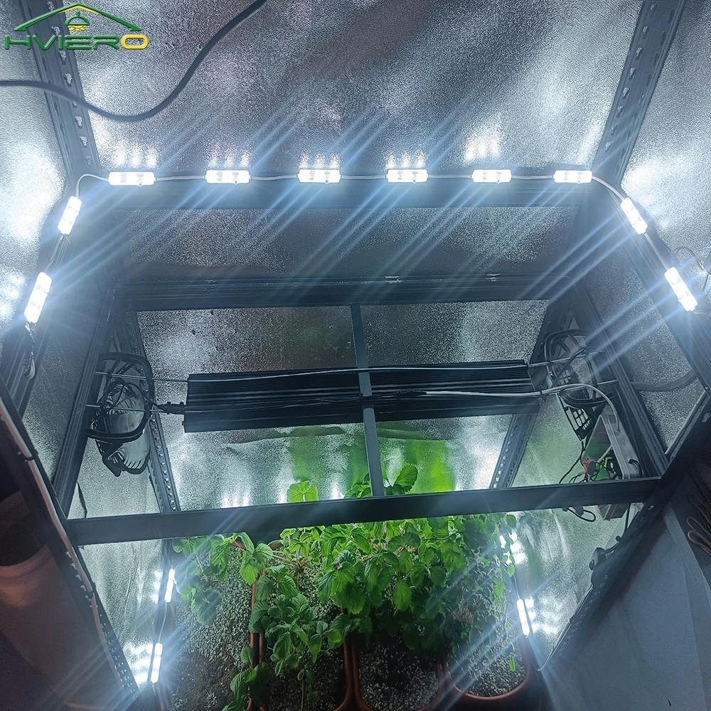 Mini Led Lamps 20pcs 5054 Smd Dc 12v Waterproof High Brightness LED Module For Home Garden Decoration Diy Lighting Strip Outdoor