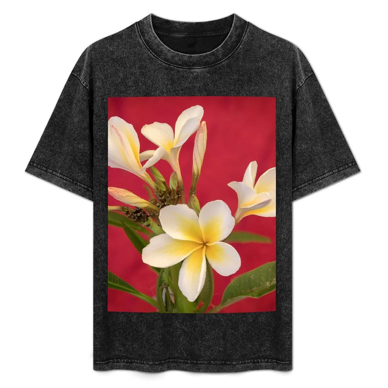 

Frangipani Study T-Shirt Stylish Graphic Short Sleeve Top