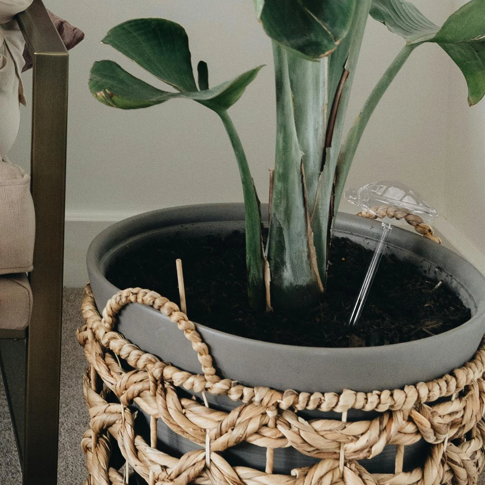 نظام تلقائي للكرات الزجاجية ذاتية الكرات للنباتات بوعاء، شفافية عالية توفر جهد الوقت، حالة رطبة متينة #1