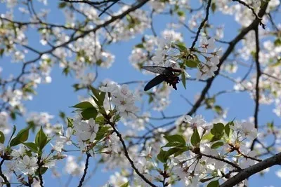 

Шины 137 мм с металлическим бедлоком и резиновым протектором для радиоуправляемых краулеров CROSS YK TRX4 SCX10 1/8 H8H, запчасти для тюнинга