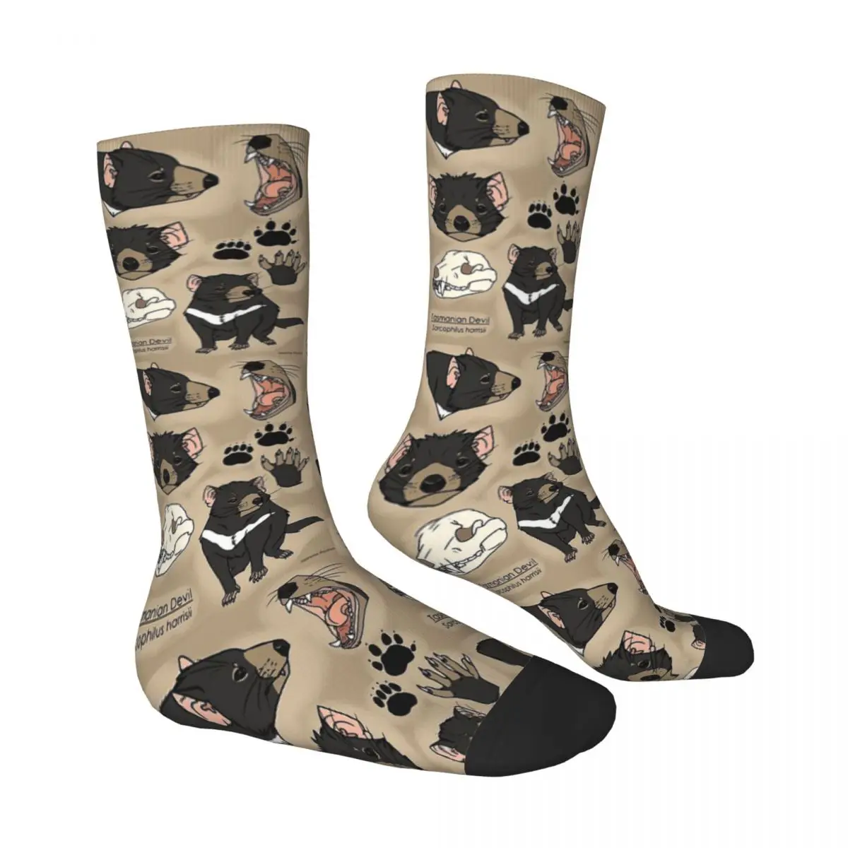 Taz Cartoon Anime Tasmanian Devil Men Women Socks Outdoor Novelty Spring Summer Autumn Winter Stockings Gift