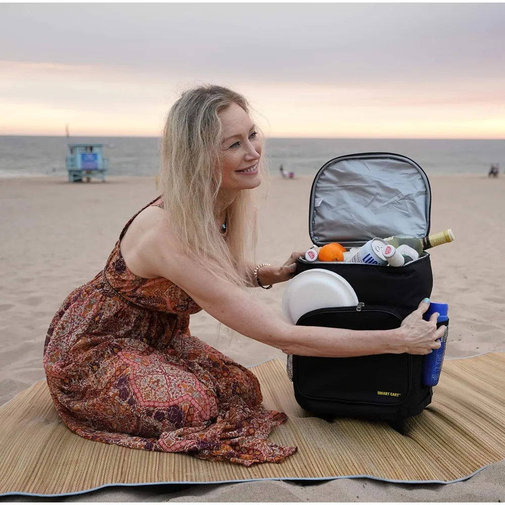 Carrello intelligente Ultra compatto, portellone pieghevole isolato nero per barbecue da spiaggia estivo