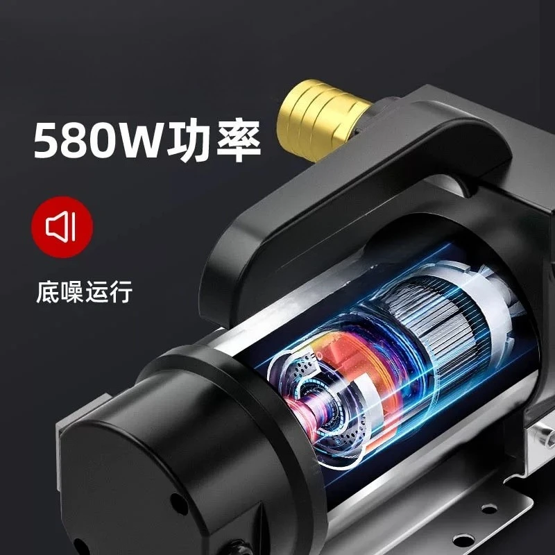 Electric oil pump Small 12V24V220V plug-in volt pump Tanker positive and negative oil pumping self-priming