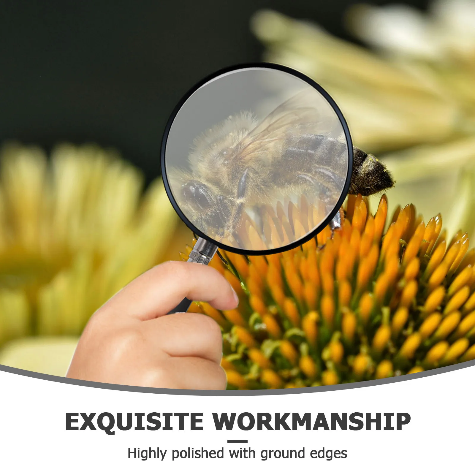 10 قطعة عدسة بصرية محدبة مزدوجة ملحق مكبر زجاجي ممتاز لخرائط قراءة الفصول الدراسية للعلوم والحرف اليدوية