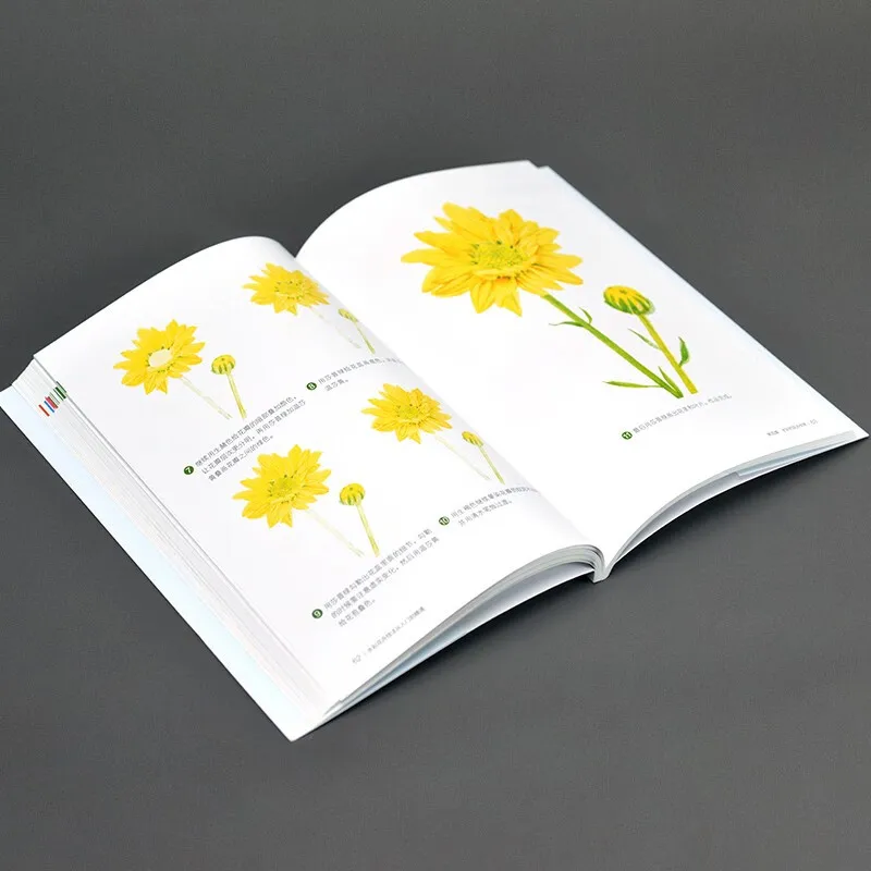 Watercolor Flower Techniques Book From Beginner To Proficient