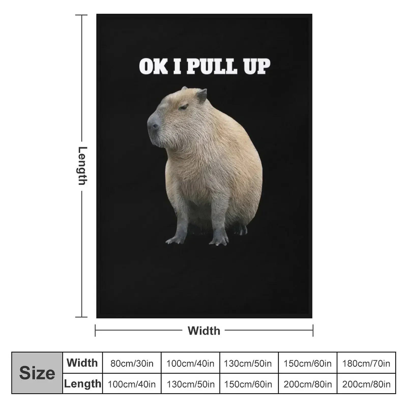 Ok I Pull Up Capybara Throw Blanket couch cozy soft plush fuzzy picnic outdoor blanket