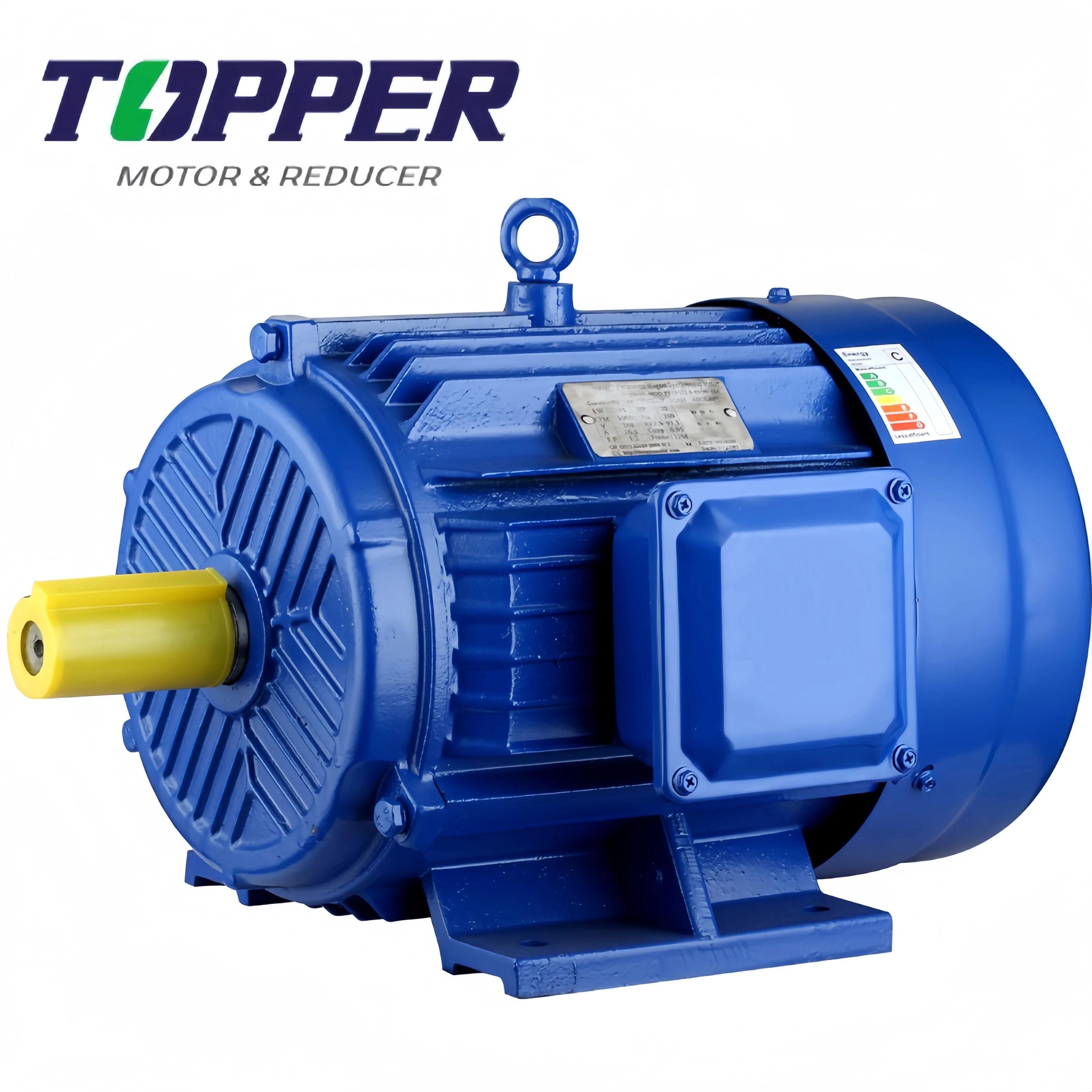 

Three-Phase AC Asynchronous Motor Waterproof Enclosed Electric Motor with 3000rpm & 1500rpm Speed Ratings 60Hz 50Hz Frequencies