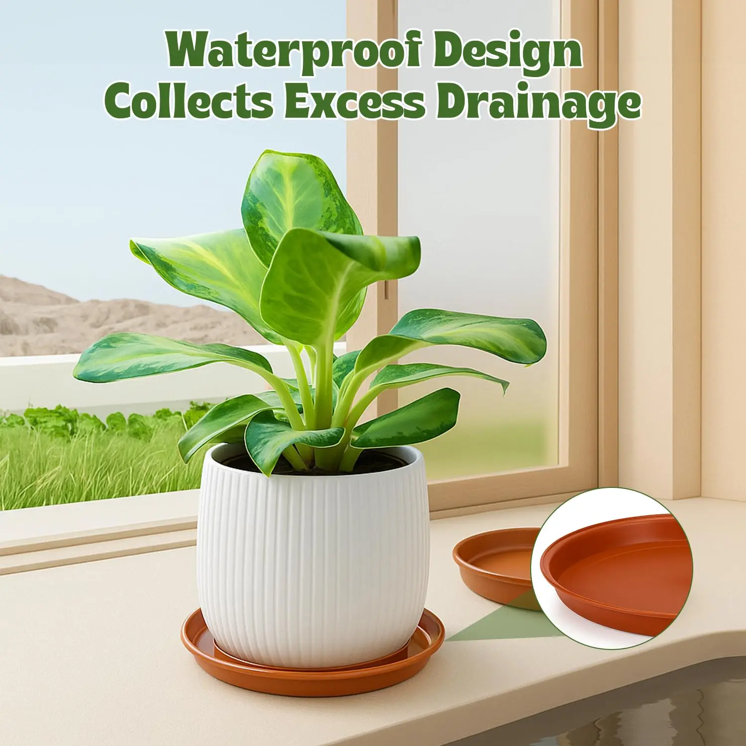 Thumbnail 4 - #4 Best Garden Pot Saucers & Trays to Buy In 2026