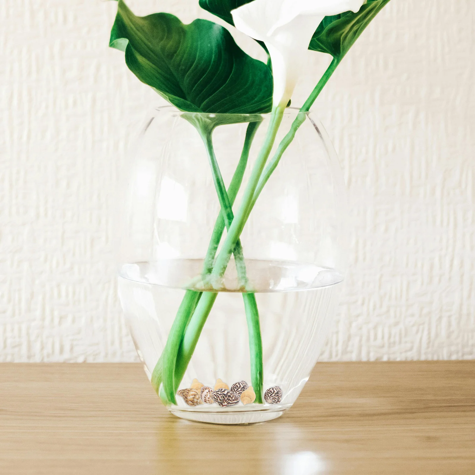 

1 Bottle Mixed Small Natural Seashells Beach Theme Decor Wedding Party Diy Crafts Vase Filler Aquarium Decorations