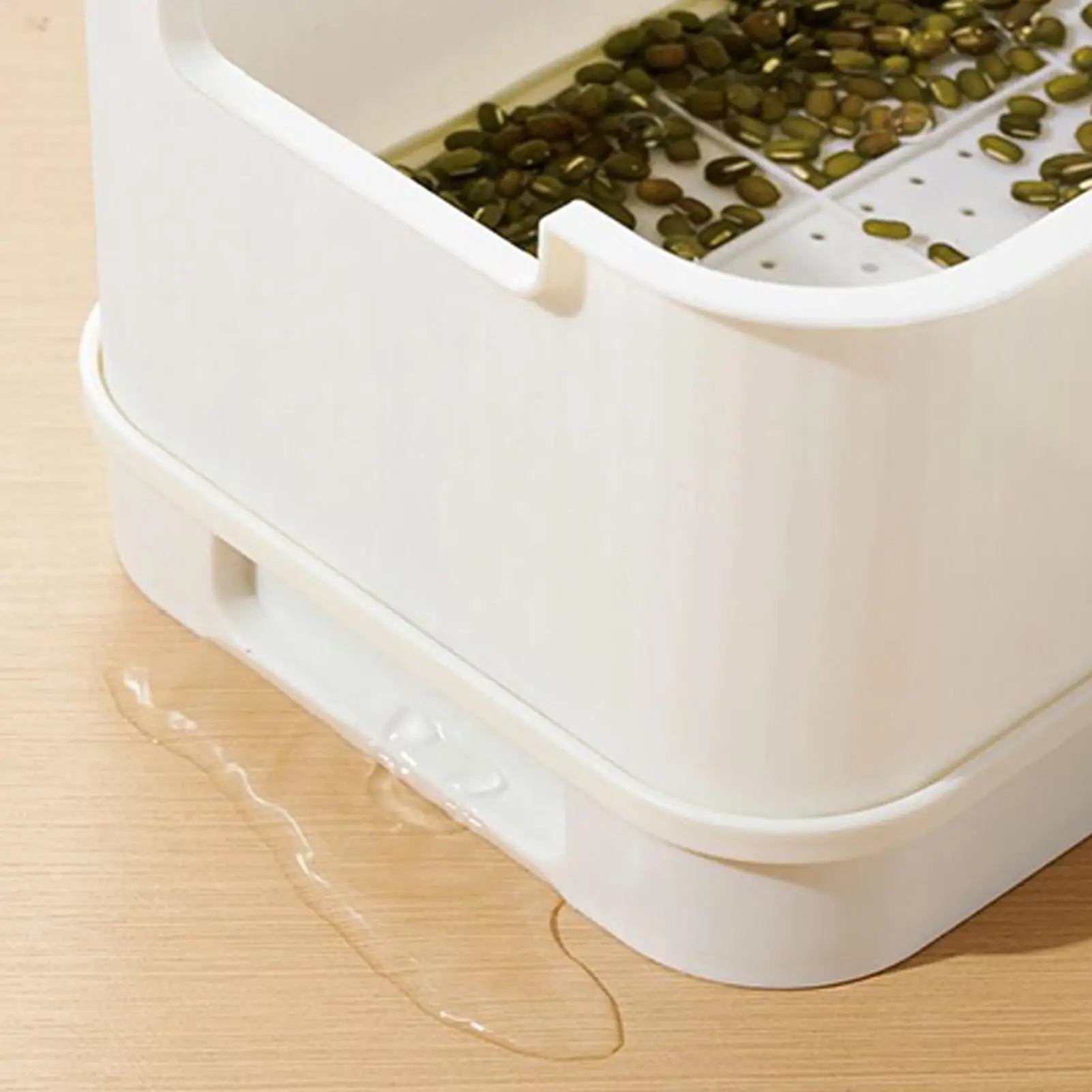 

Лоток для проращивания растений без почвы, лоток для проращивания гороха с крышкой для выращивания фасоли, гороха, пшеничной травы, выращивания растений