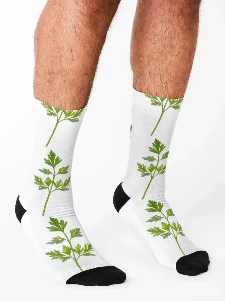 Backlit parsley Socks fashionable Toe sports Stockings men cotton high quality Woman Socks Men's