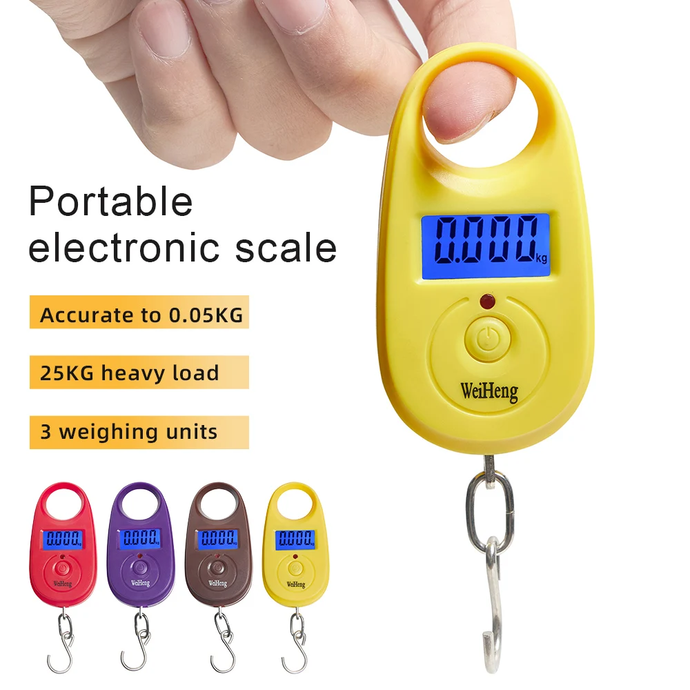 Mini Digital Scale 25Kg 5g Electronic Fishing Weight Pocket Luggage Scales Hanging Hook Mini LCD Weighing Scale