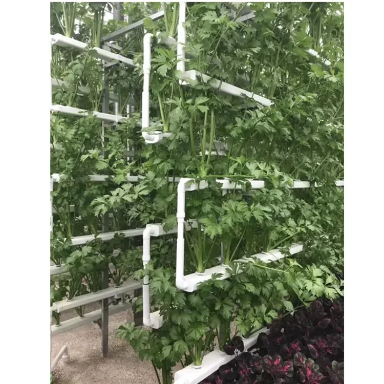 Skyplant Vertical Hydroponic PVC Grow Farming Systems