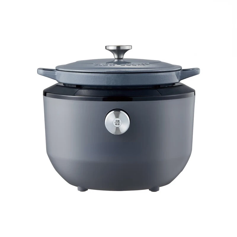 DAEWOO Electric Rice Pot Cast Iron Pot Electric Rice Pot Soup  Household Soup  DY-FL01 4L 220V