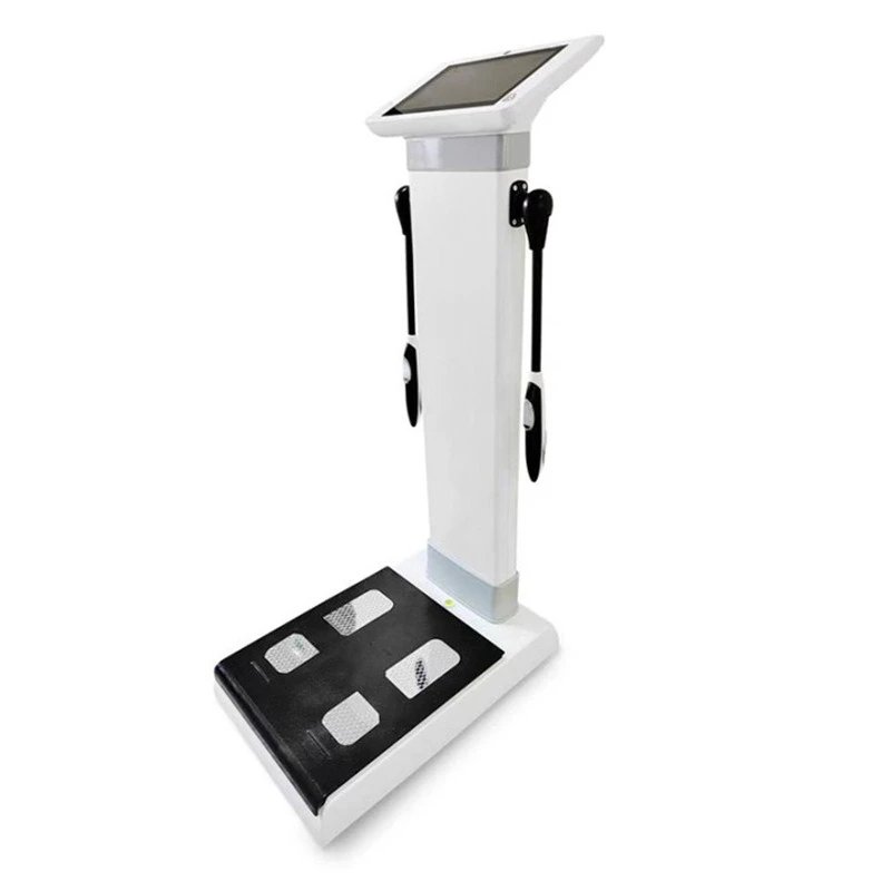 

English professional body fat scale yoga studio gym body tester