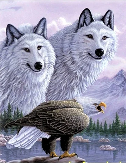 5D diamond painting eagle wolf picture chart 40x60 cm