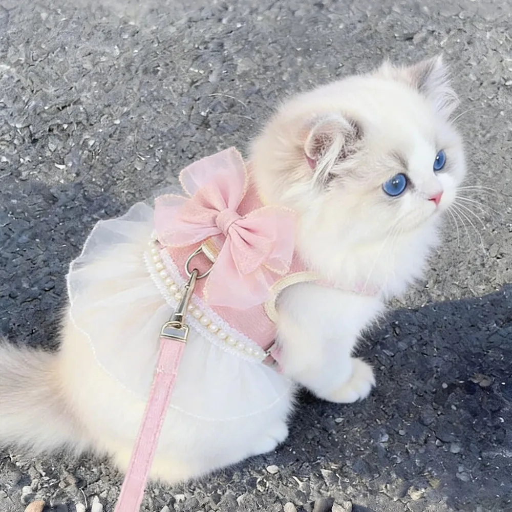 Cat Harness Leash Escape Proof for Outdoor Use Fairy Princess Style Vest Collar for Girls Cats Pet Supplies 2
