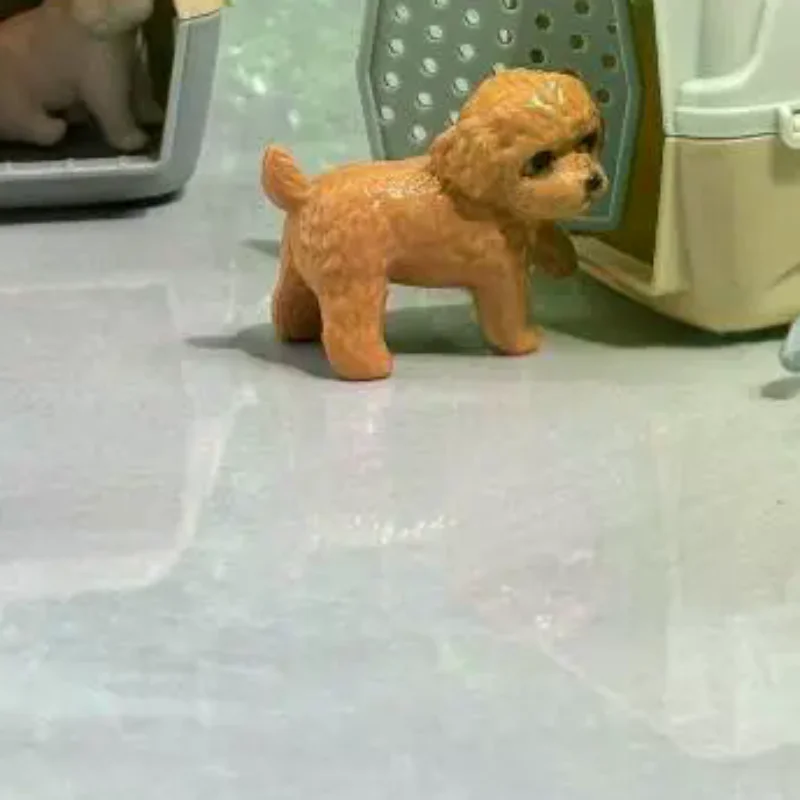 Jaula realista para perros y gatos, casa de muñecas en miniatura con puerta, accesorios para muñecas, hábitat para mascotas pequeñas, 2/4 Uds.