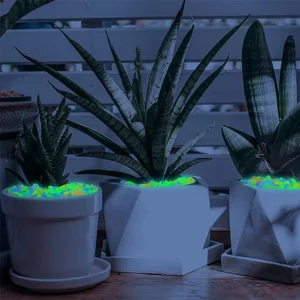 8ベストセールス水族館植物の重量-1