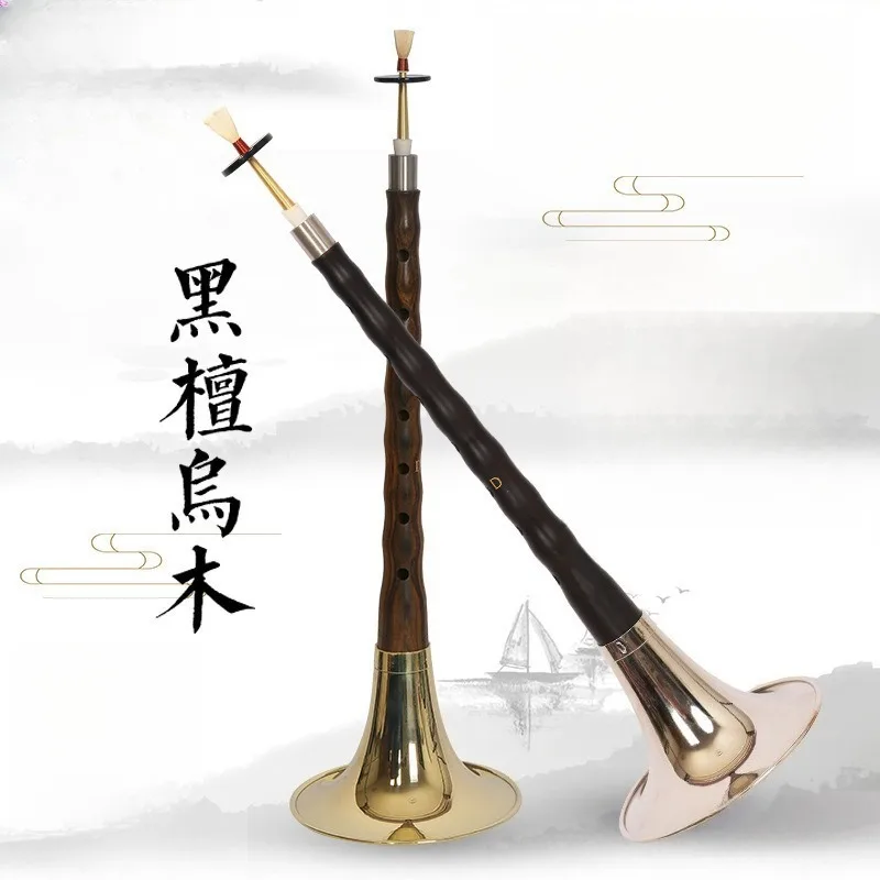 Suona musical instrument in key D, beginner adult, full set of blowing instruments, suitable for multiple scenes
