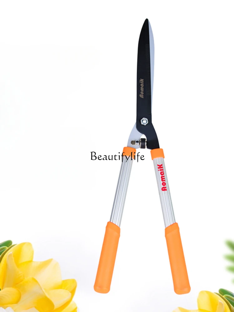 Garden Cut Flowers Flowers and Trees Lawn Green Grass Shears Strong Pruning Branches