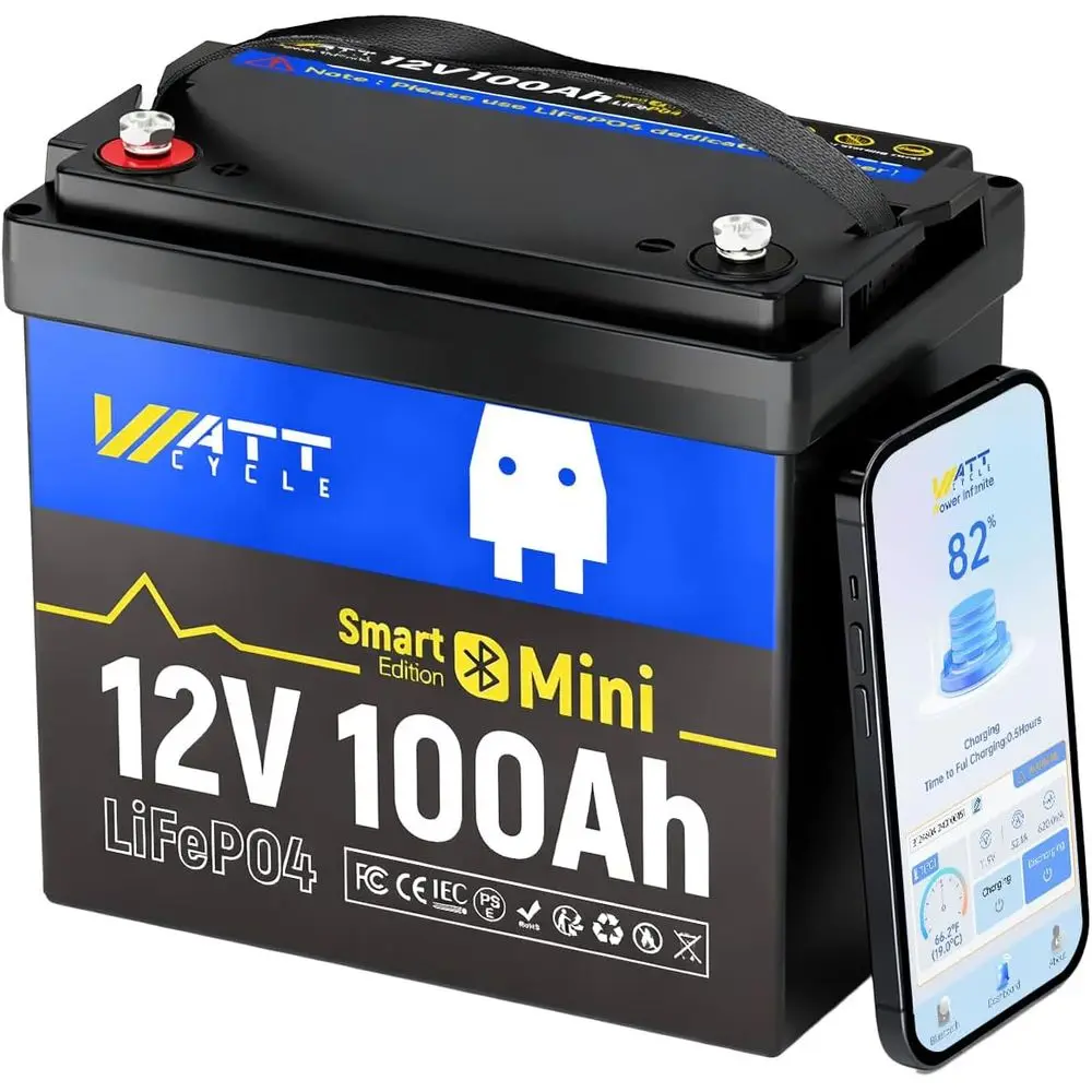 

Bluetooth Enabled 12V 100Ah LiFePO4 Battery with Smart BMS for BCI Group 24, 15,000 Cycles & Phone Monitoring
