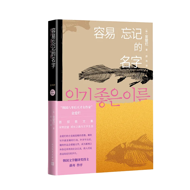 

The Easily Forgotten Name: A Poetic Novel About Memory, Lost Love & The Search For Identity!