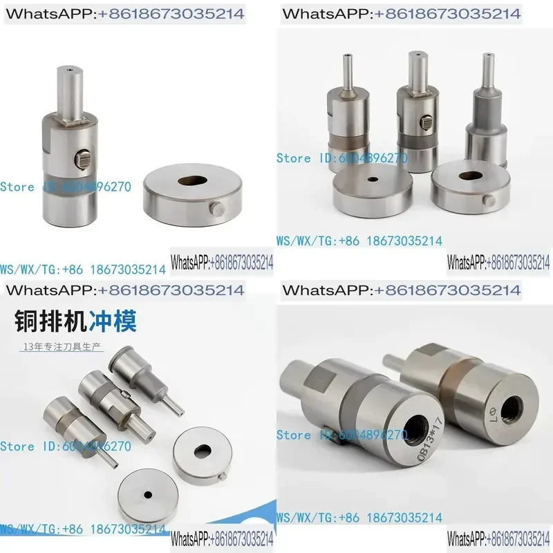 Brass Strip Machine Punching Mold Processing Machine Parts High-Level Grinding Tools Round Punch Dies for Industrial Use