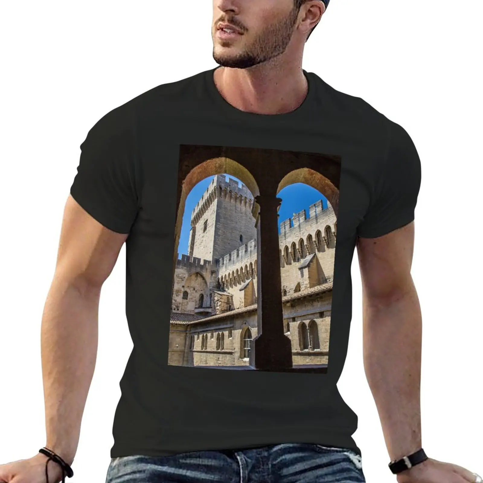 France. Avignon. Papal Palace. T-Shirt plus sizes hippie clothes Men's cotton t-shirt