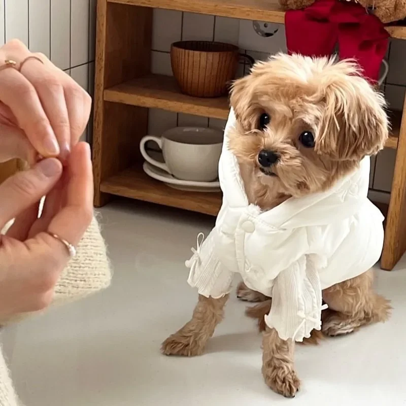 تيدي بير أنيق أسفل سترة فريز القوس المطرزة معطف الكلب الشتاء الدفء معطف مقنع سميكة الحيوانات الأليفة اكسسوارات الكلب الحيوانات الأليفة القماش #2