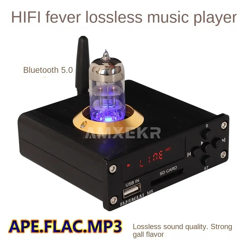 Perder Música Ape Player, Bluetooth HiFi Febre Amplificador, Estéreo Nível da Vesícula Biliar, Decodificador DAC, M5
